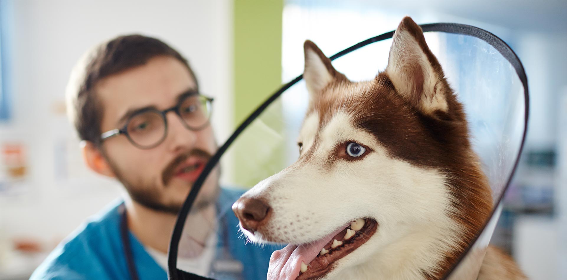🐕 13 Genius Solutions to Avoid Client Attrition at Your Veterinary Clinic  - Weave