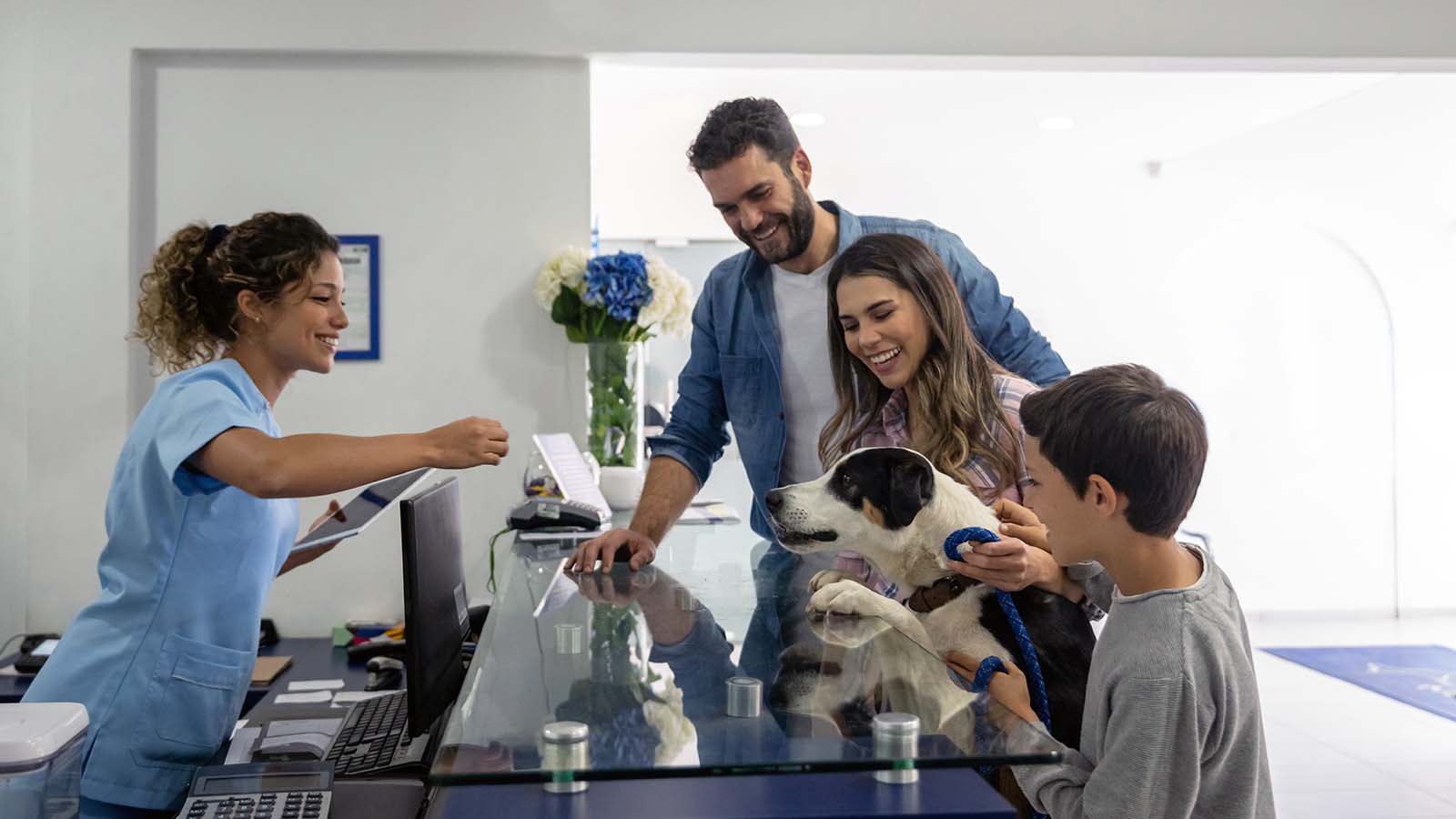 Tackling Veterinary Communication with Clients Weave